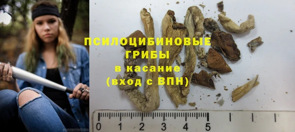 МДМА Богданович